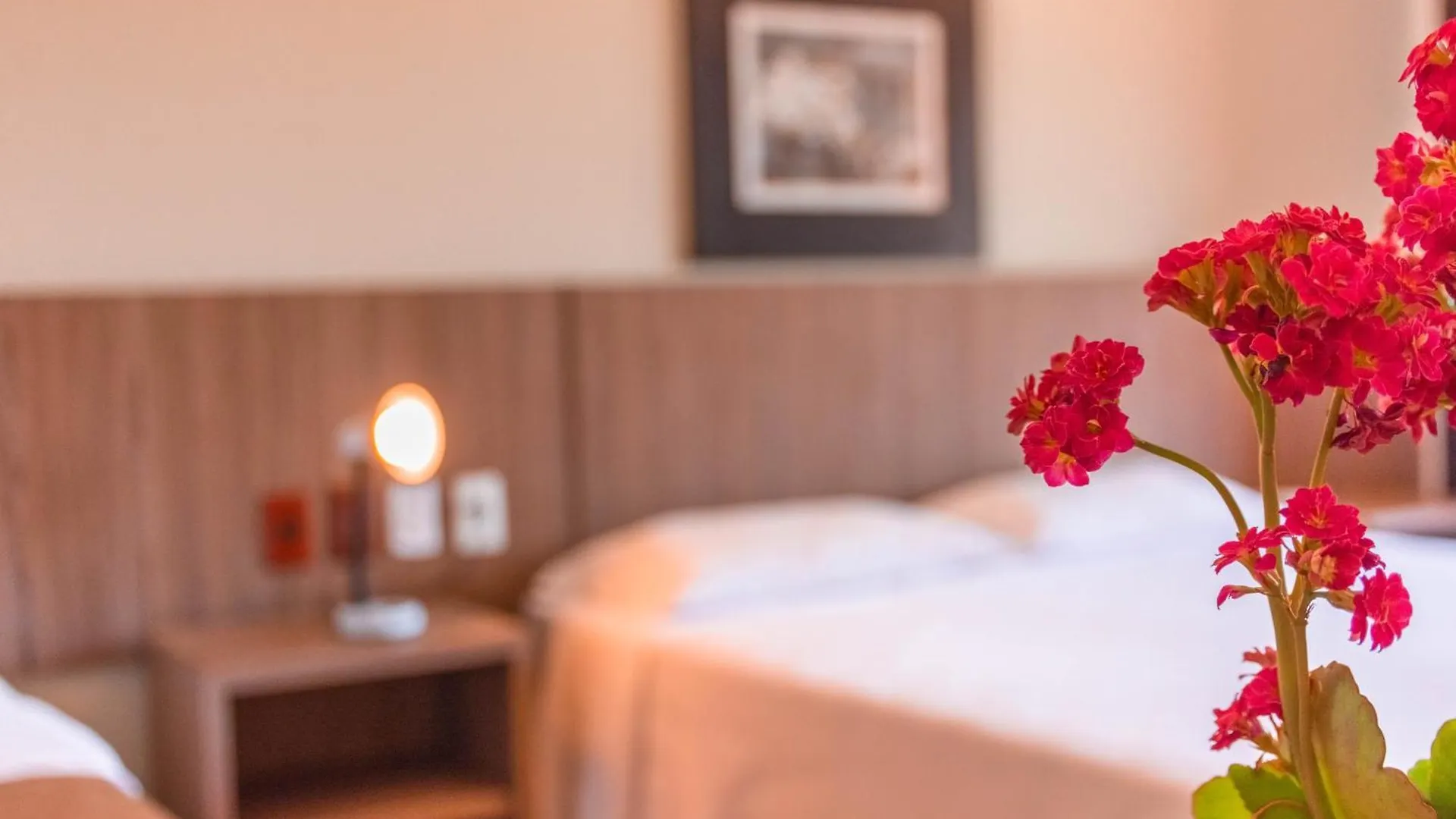 Estalagem Ferrujão Pousada e Restaurante Hotel Garopaba
